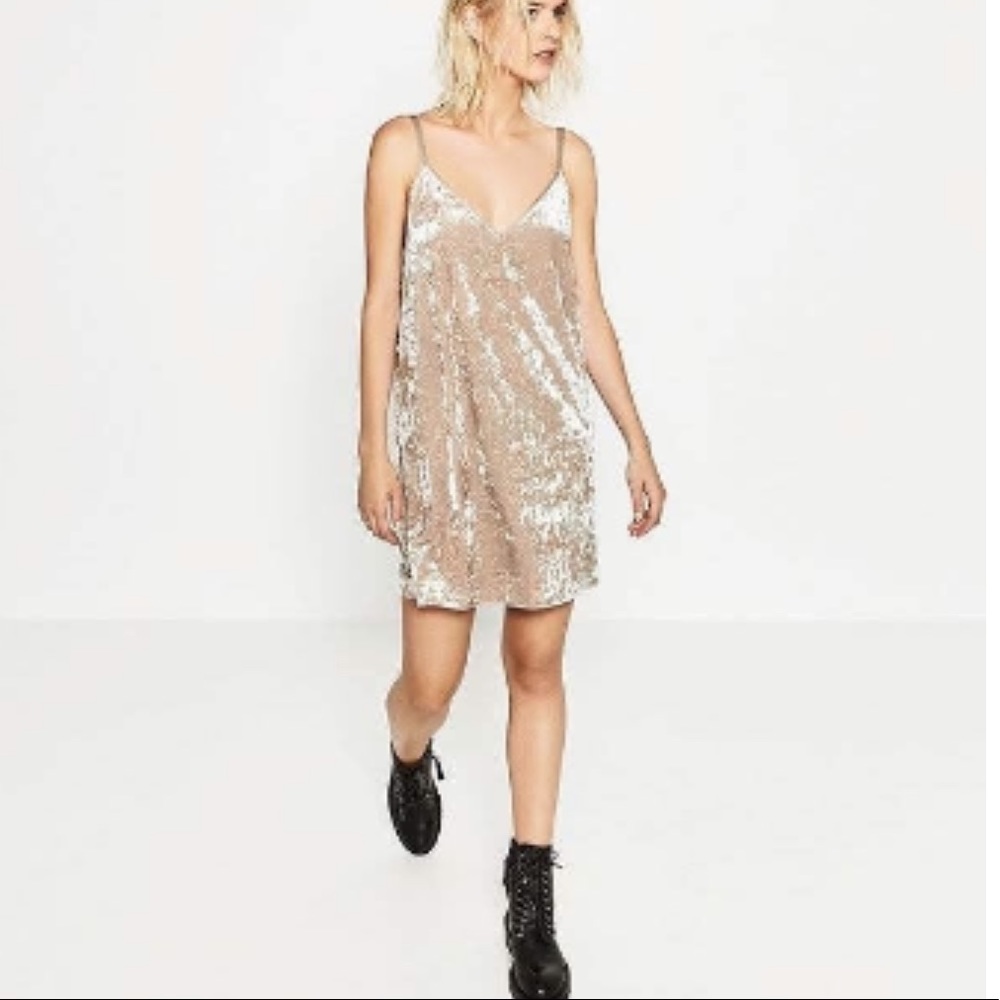 Zara Crushed Velvet Slip Dress